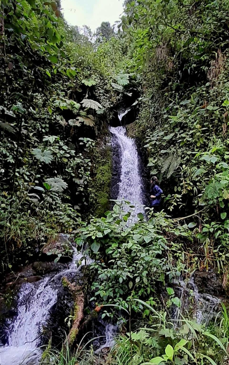 Ecolodge Cuentos De Agua Villamaría Eksteriør billede